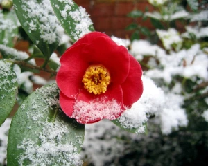 Синоптики засмутили прогнозом на четвер